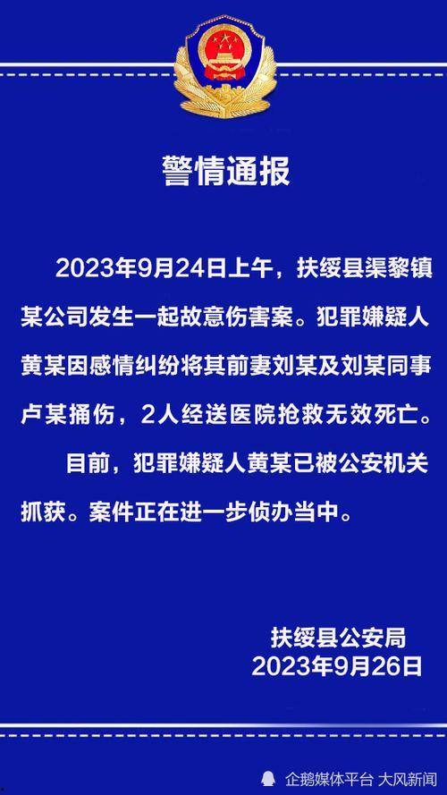 扶绥县最新爆料新闻视频,视频揭露惊人真相，事件详情曝光！